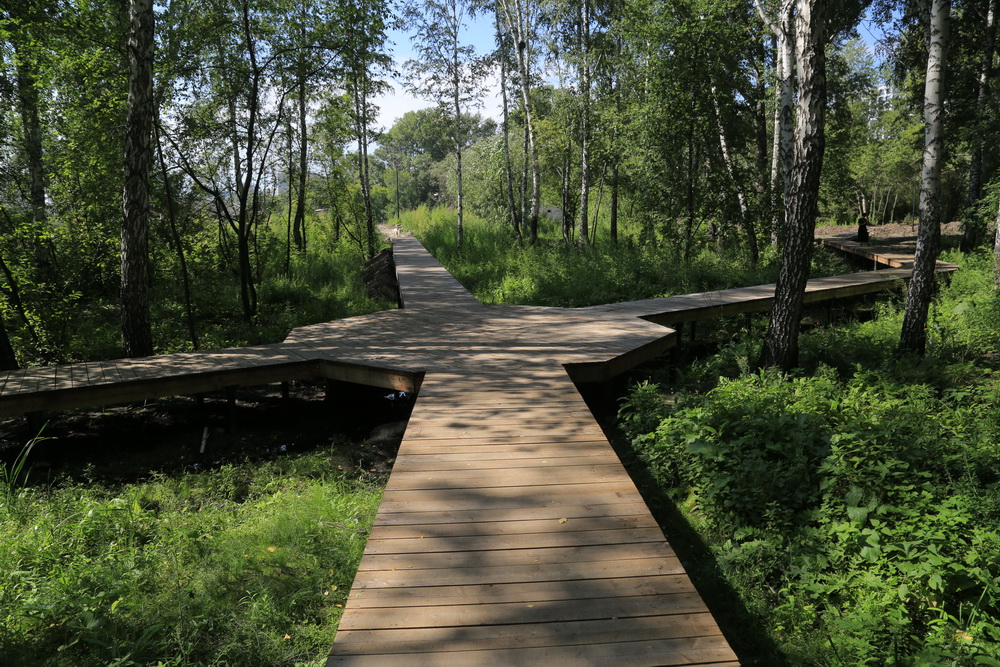 Строительство парка «Каменка». Август 2023 года