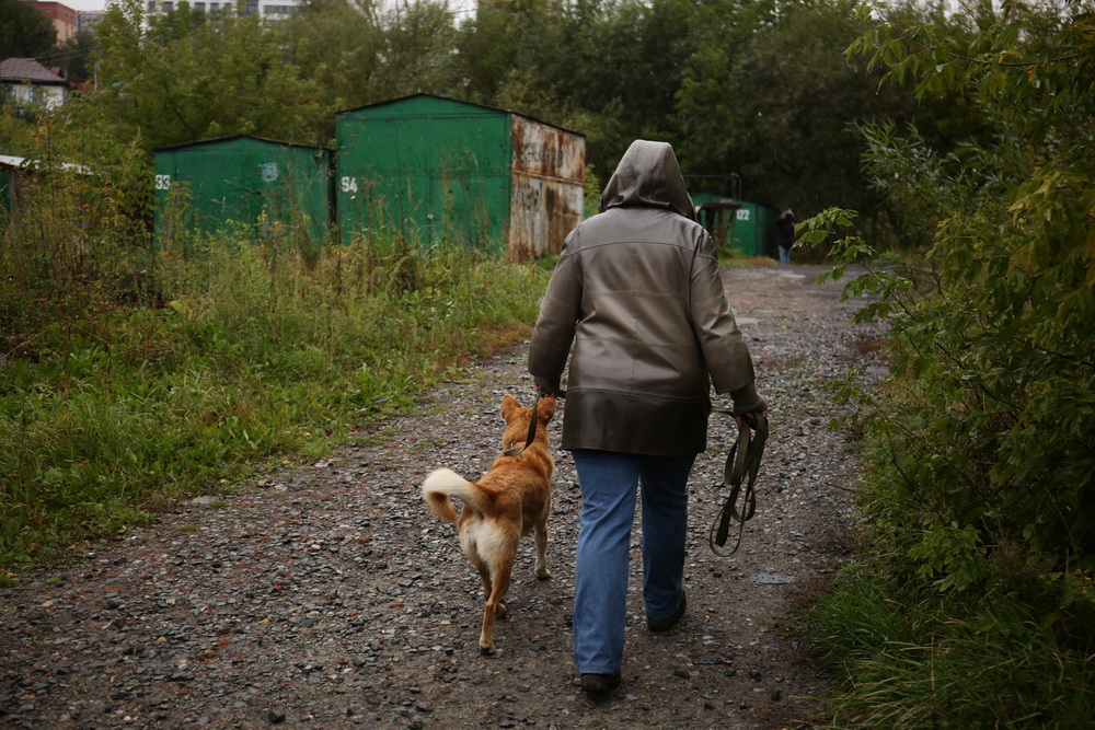 Обследование поймы Каменки. Сентябрь 2021 года