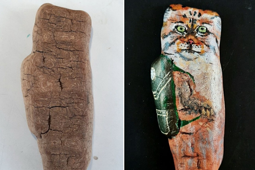 Манул Снежинка