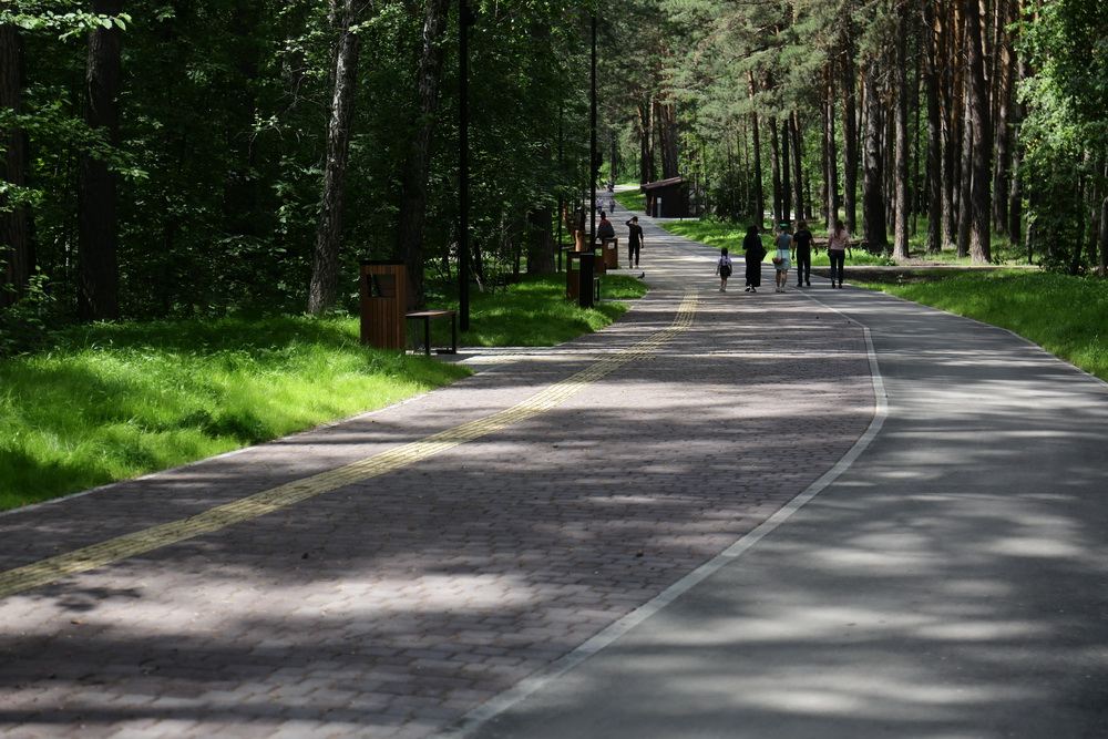 Заельцовский парк. Июнь 2022 года