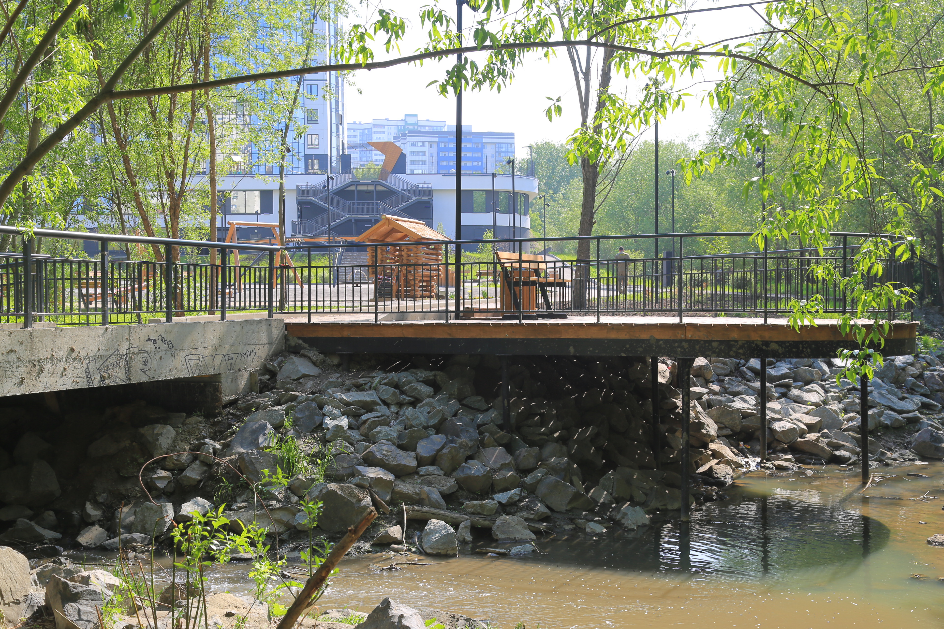 Ельцовский парк (июнь 2023 года)