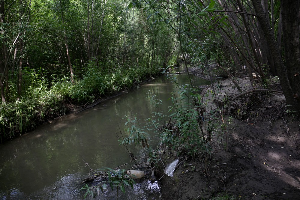 На месте будущего парка в пойме Ельцовки