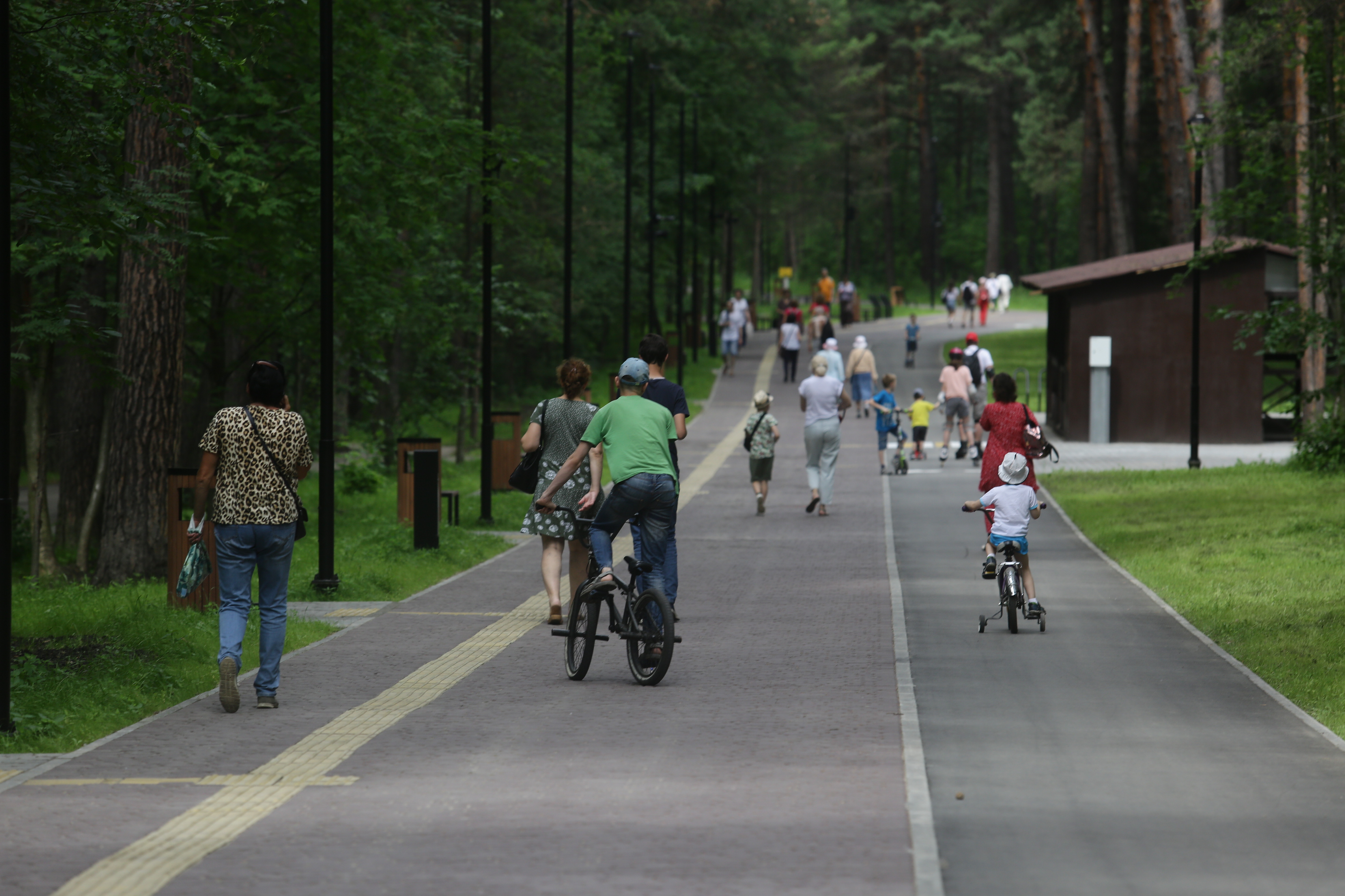 Заельцовский парк после реконструкции. Июнь 2022 года