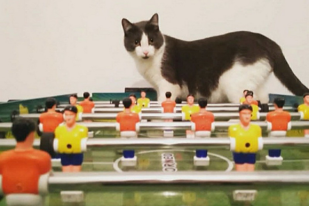 Василий-Колбасилий