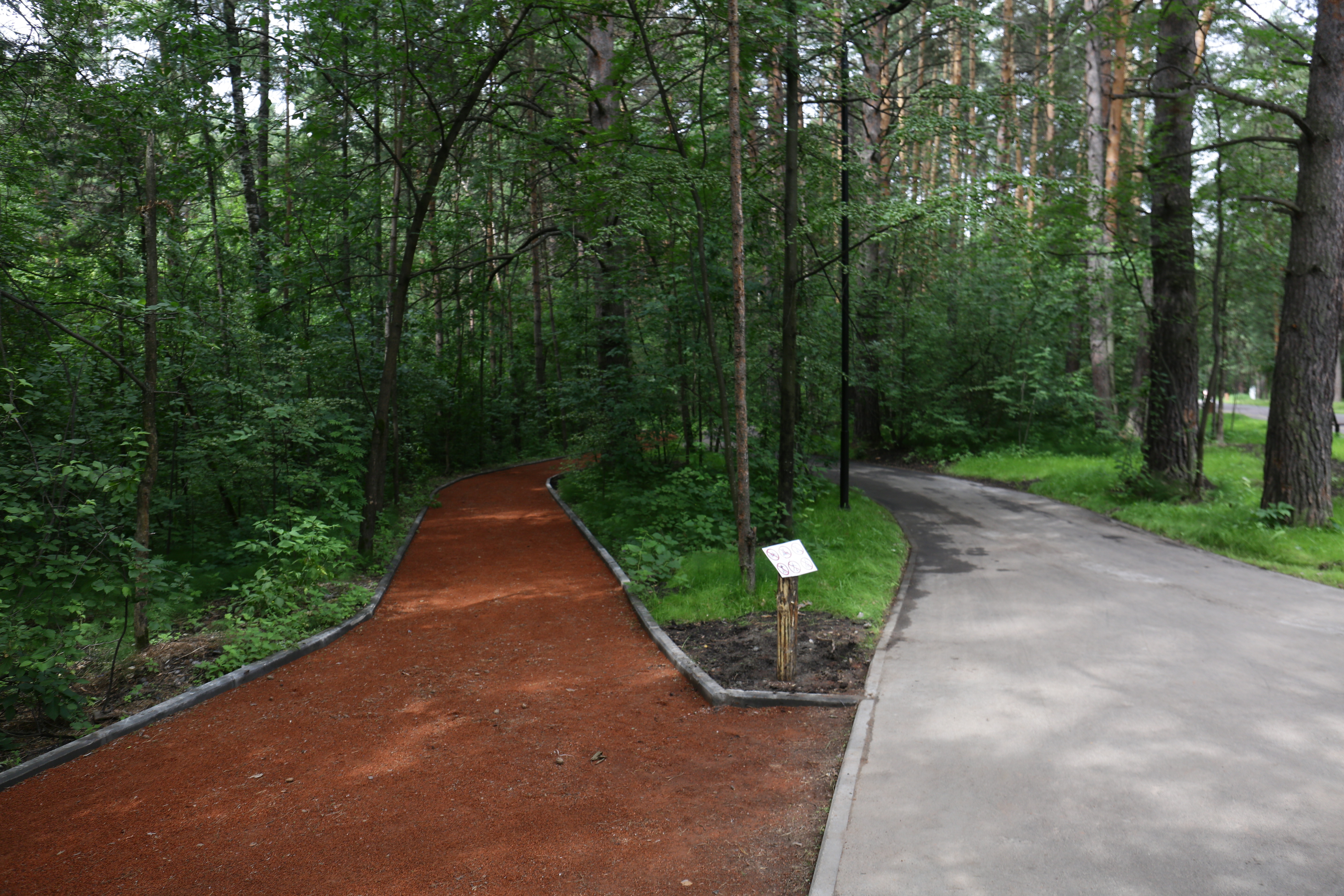 Заельцовский парк после реконструкции. Июнь 2022 года