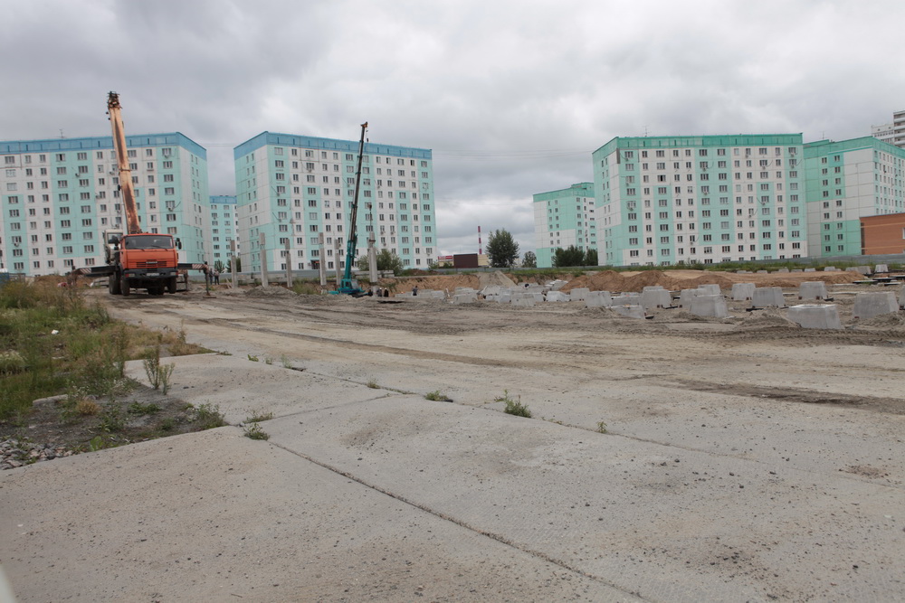 Школа на улице Татьяны Снежиной