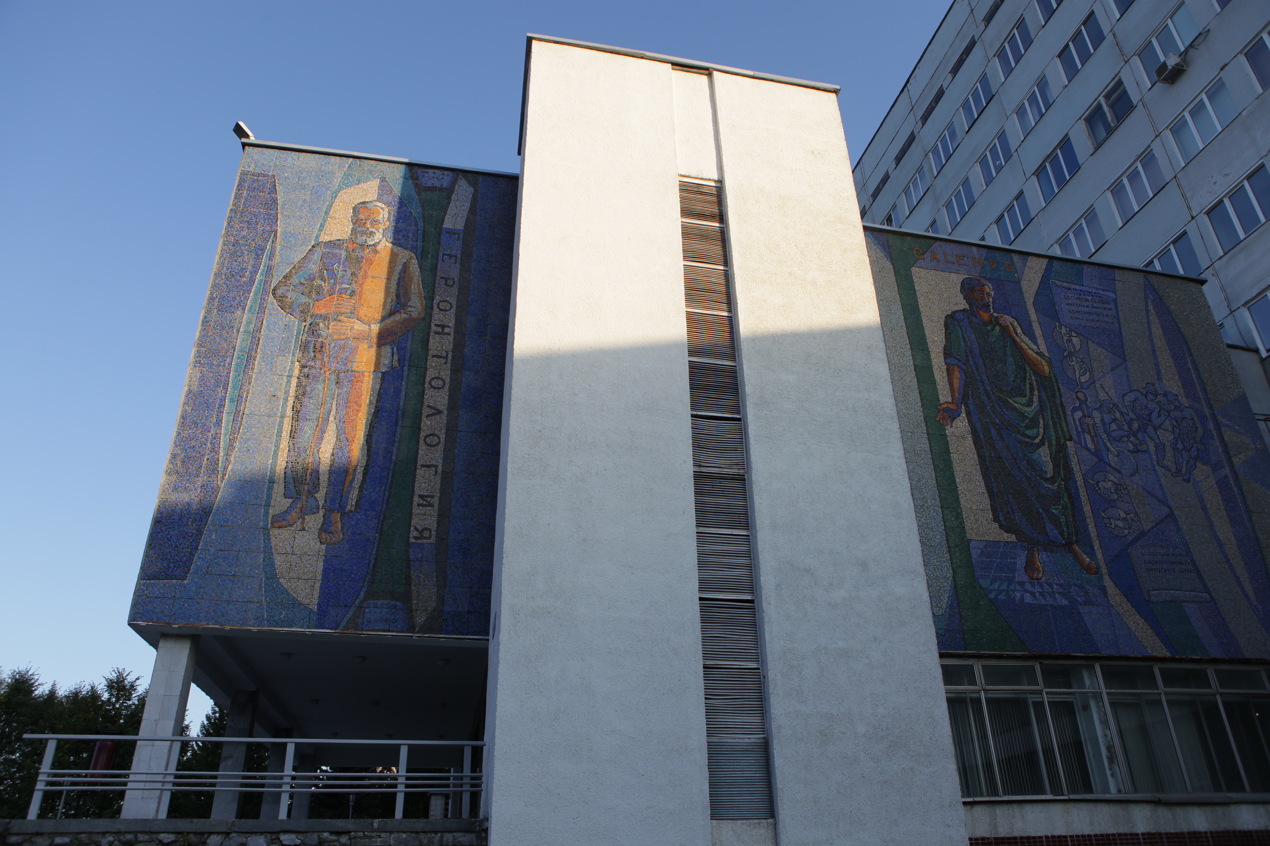 Мозаика «Человек. Наука. Медицина»