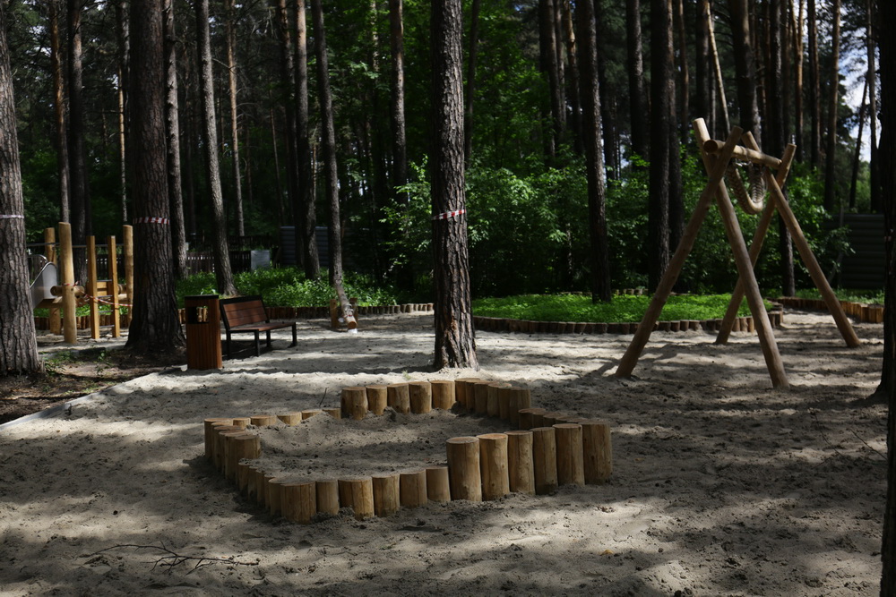 Заельцовский парк. Июнь 2022 года