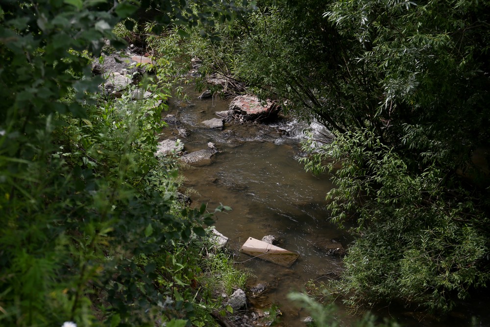 На месте будущего парка в пойме Ельцовки