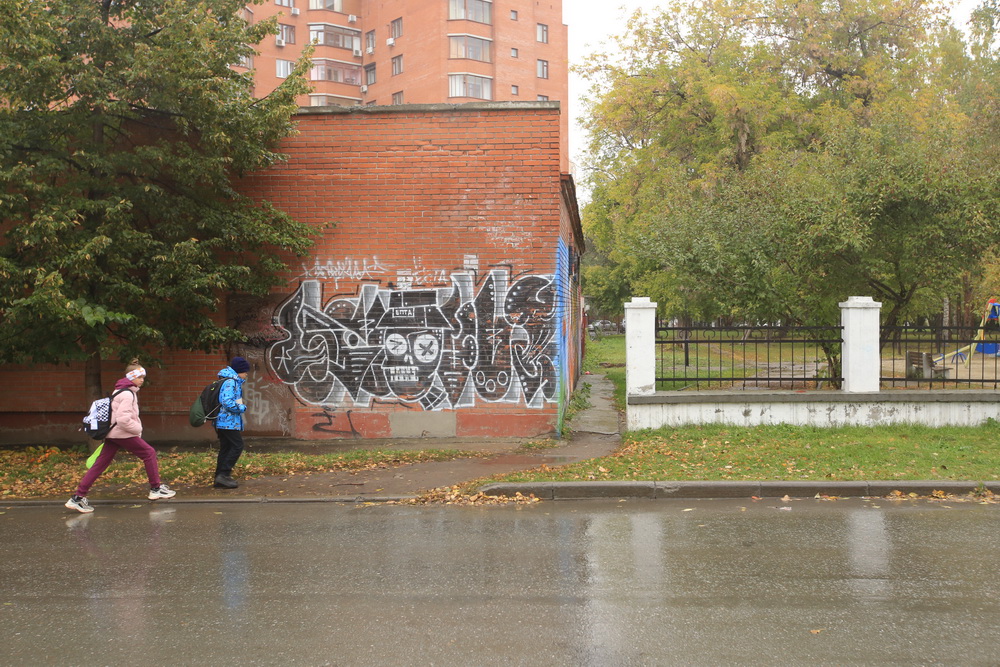 Граффити с Гагариным нарисовали на домах 30-х годов в Новосибирске