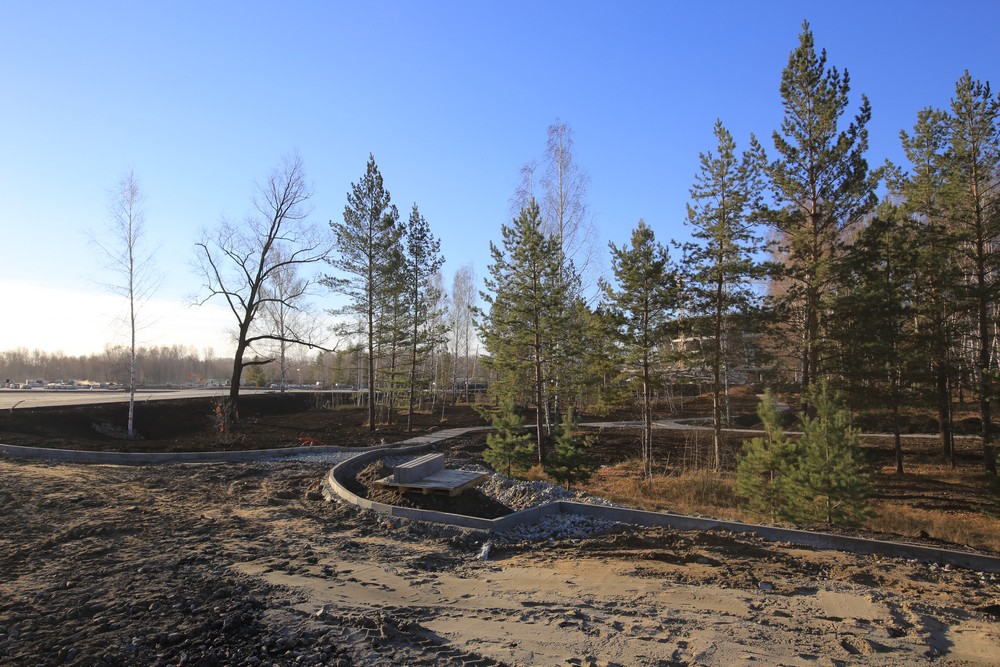 Создание парка возле нового ЛДС. Октябрь 2021 года