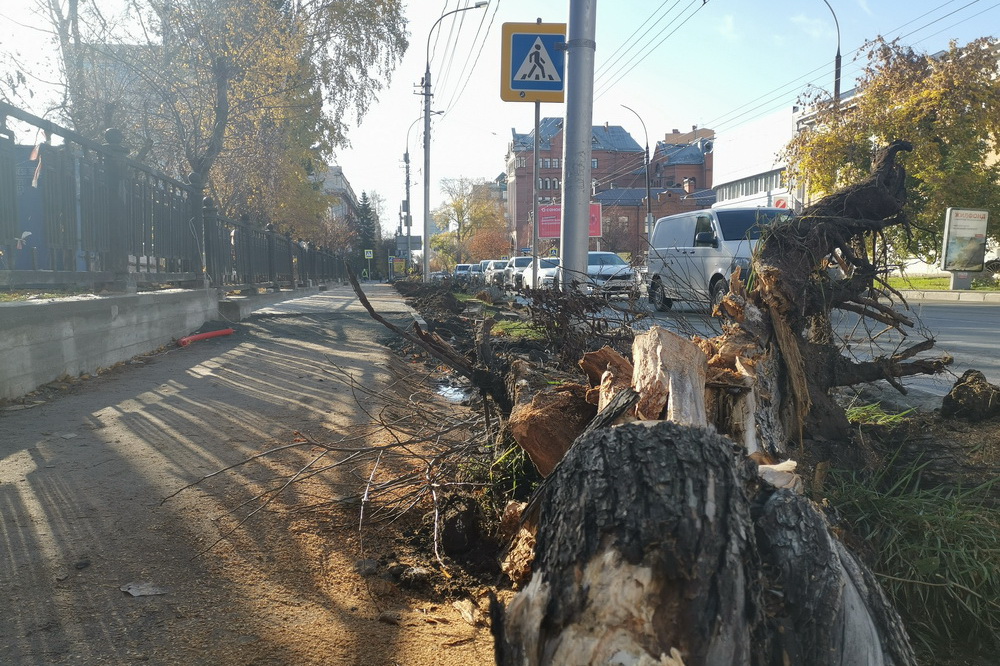 Замена деревьев возле Первомайского сквера