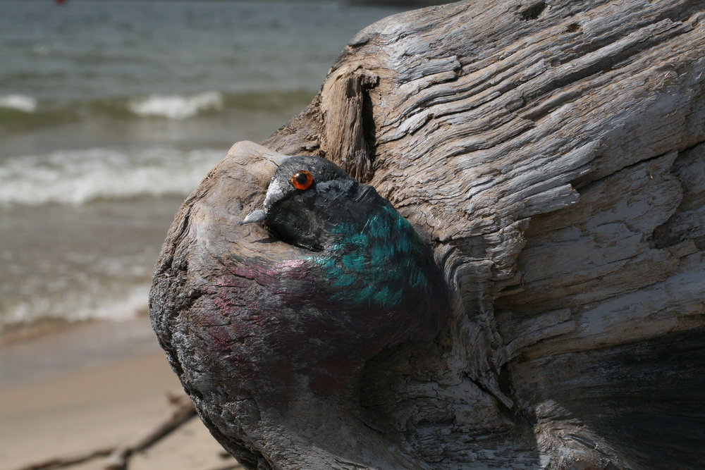 Сёрферский городок Виндтаун