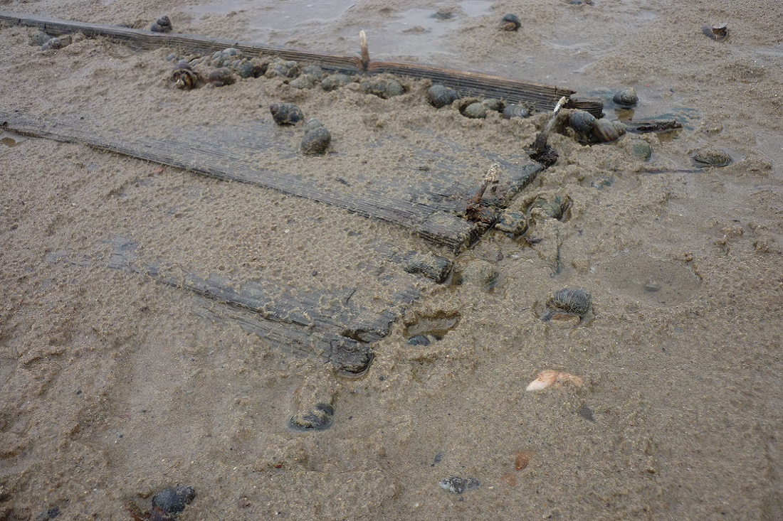 Старый Бердск