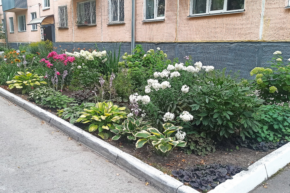 Ул. Академическая, 27 (Советский район)