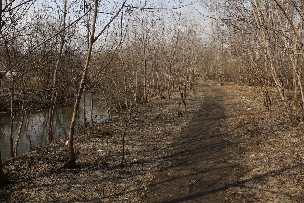 Пойма реки Каменки. Апрель 2022 года