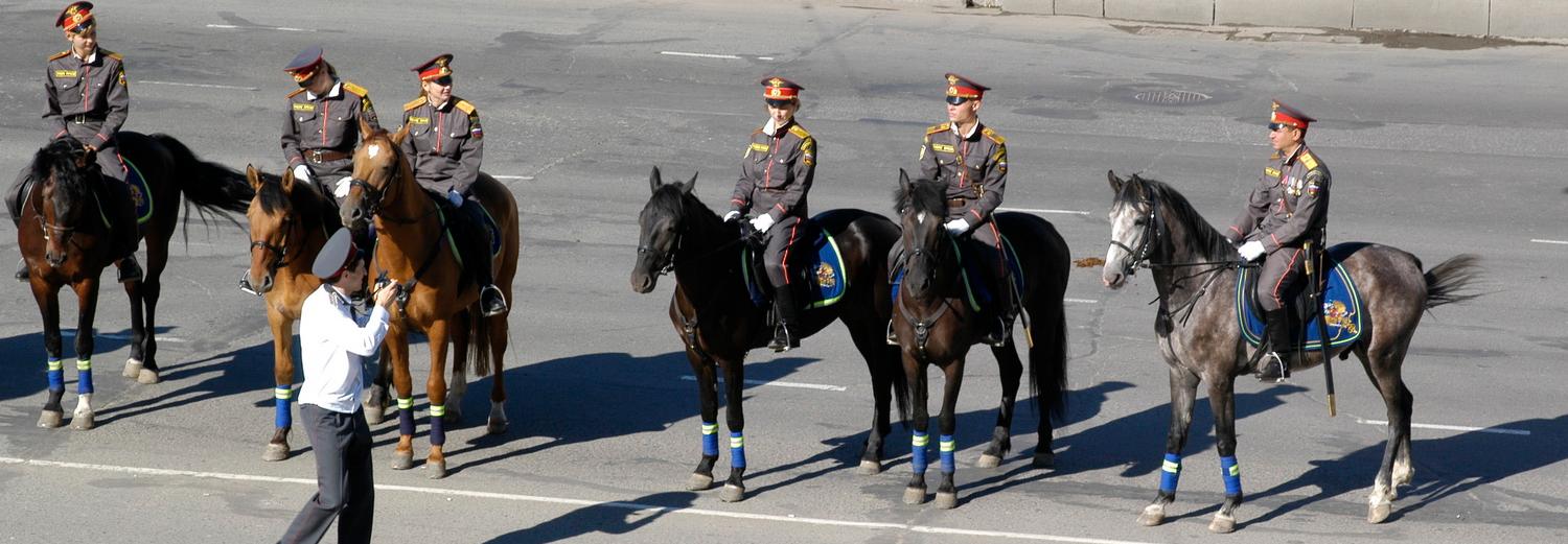 Угонять стали меньше, а преступлений стало больше: отчёт полиции