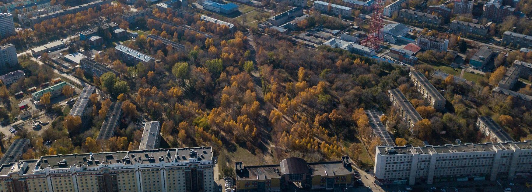 В сквере Сибиряков-Гвардейцев начали большую реконструкцию