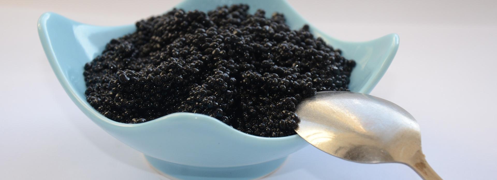 35 кг чёрной икры стоимостью миллион изъяли у трёх жительниц Новосибирска