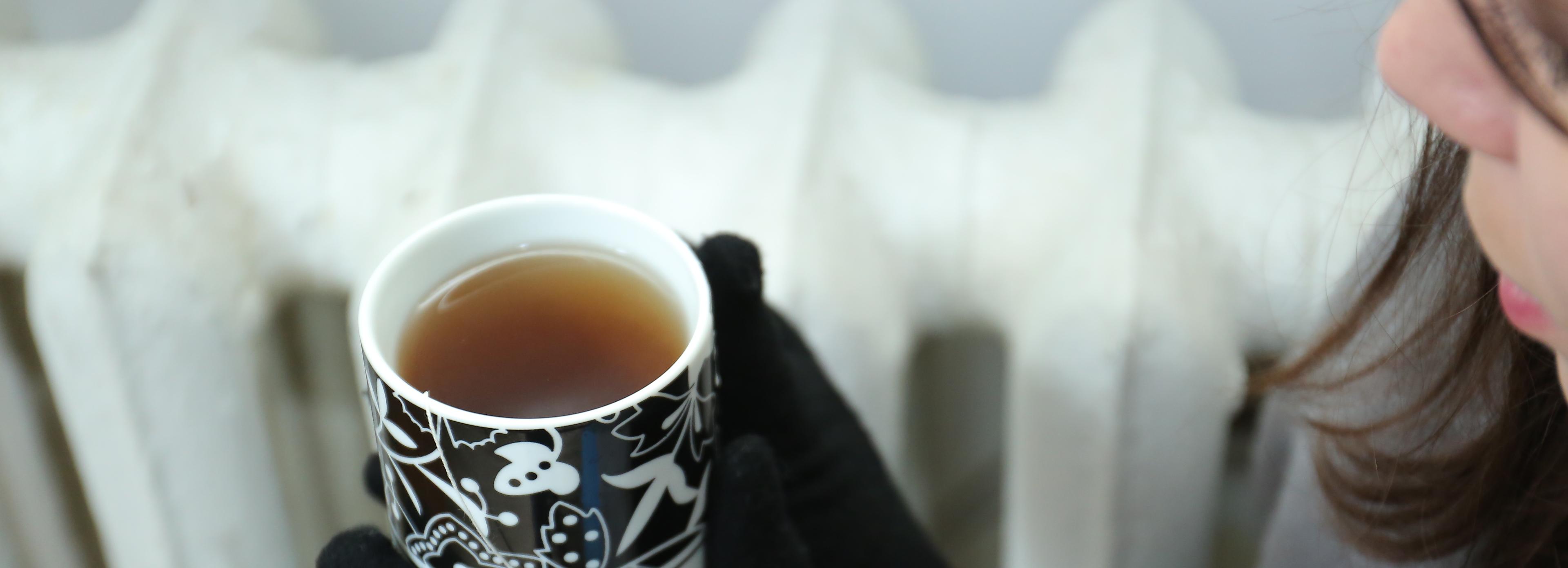 Мэр поручил решить проблемы с теплом в квартирах новосибирцев