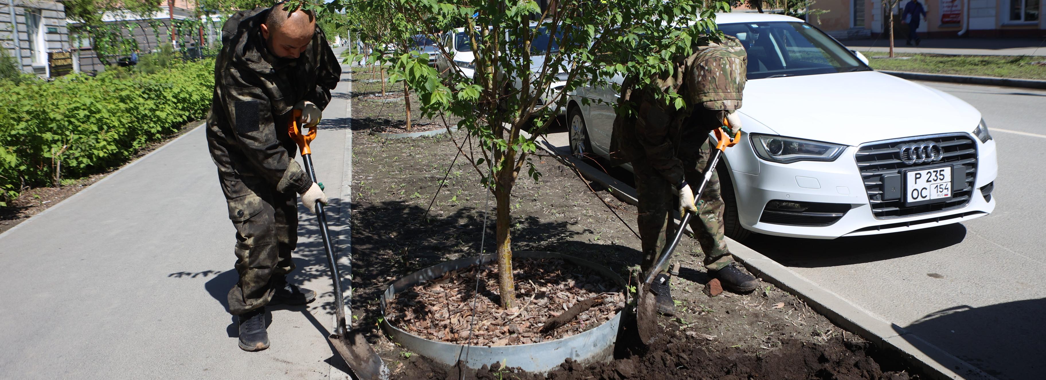 На Урицкого готовят почву для газона: трава взойдёт в начале июля