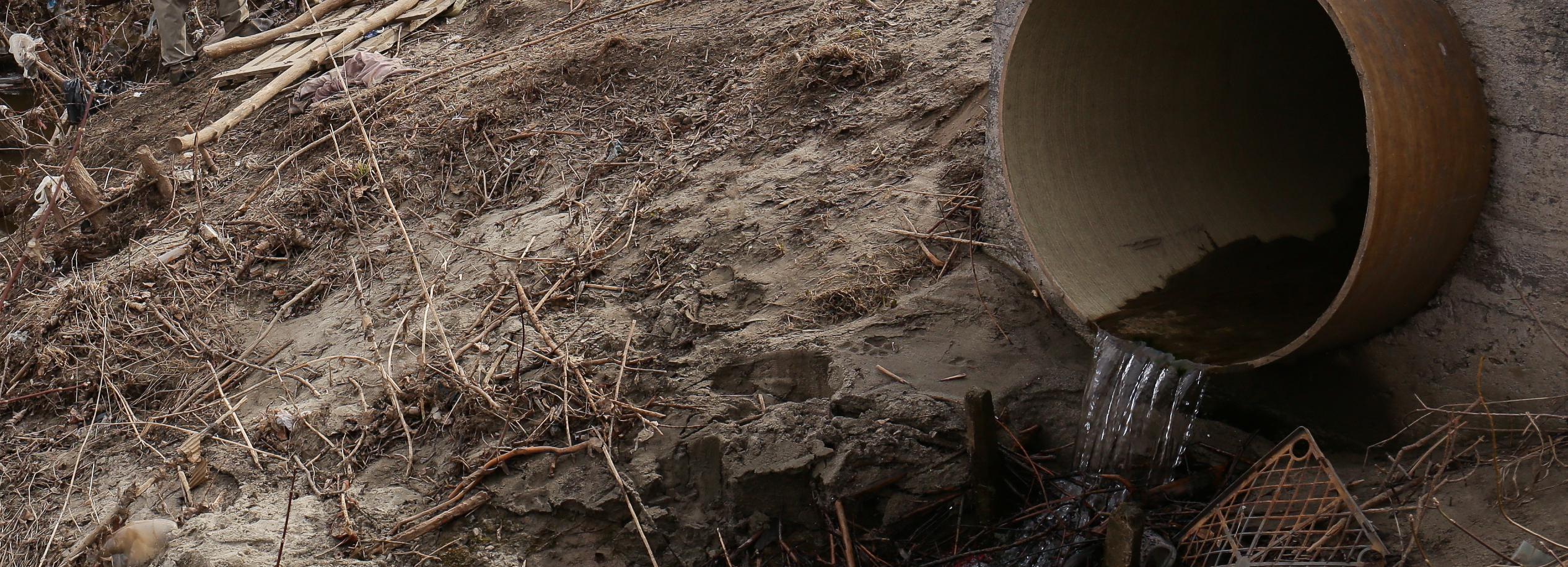 Бастрыкин поручил разобраться с порчей земли под Новосибирском