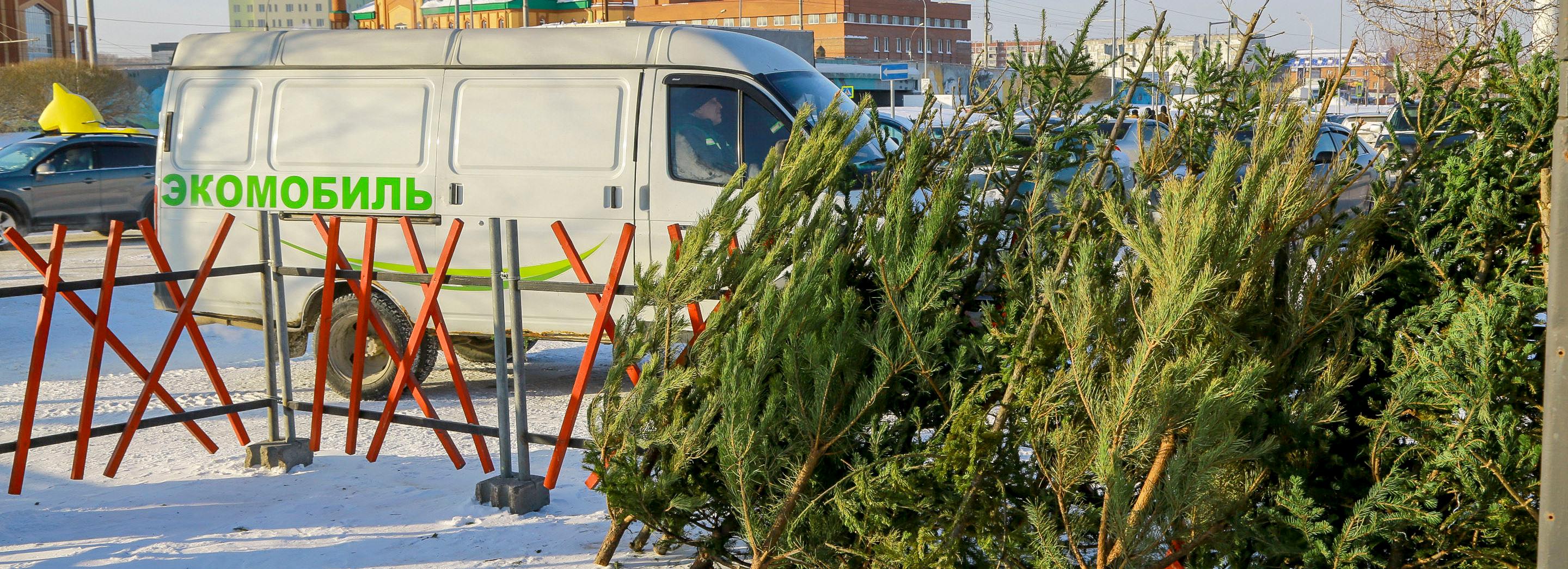 МУП «САХ» приняло на переработку 930 ёлок от жителей Новосибирска