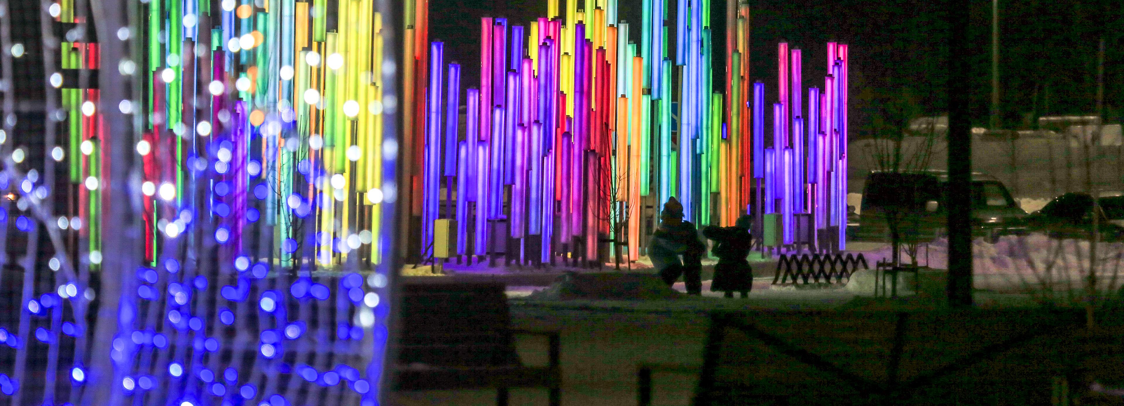 В новосибирском парке «Арена» открыли платный каток