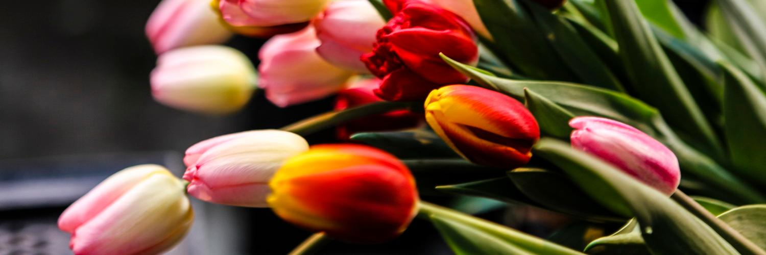 Как продлить жизнь срезанным цветам