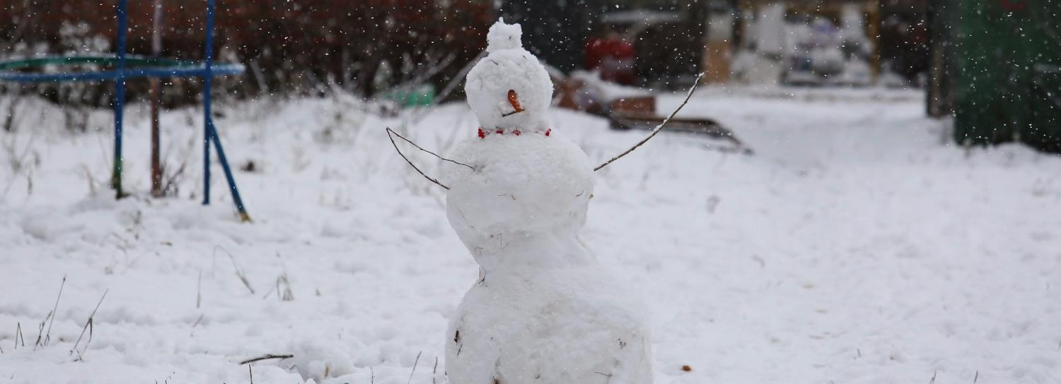 Идём на рекорд: 130 снежных баб слепят на Михайловской набережной