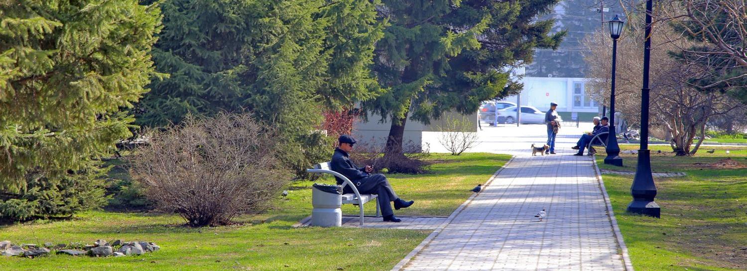 Реконструкцию деревьев проведут в Первомайском сквере Новосибирска