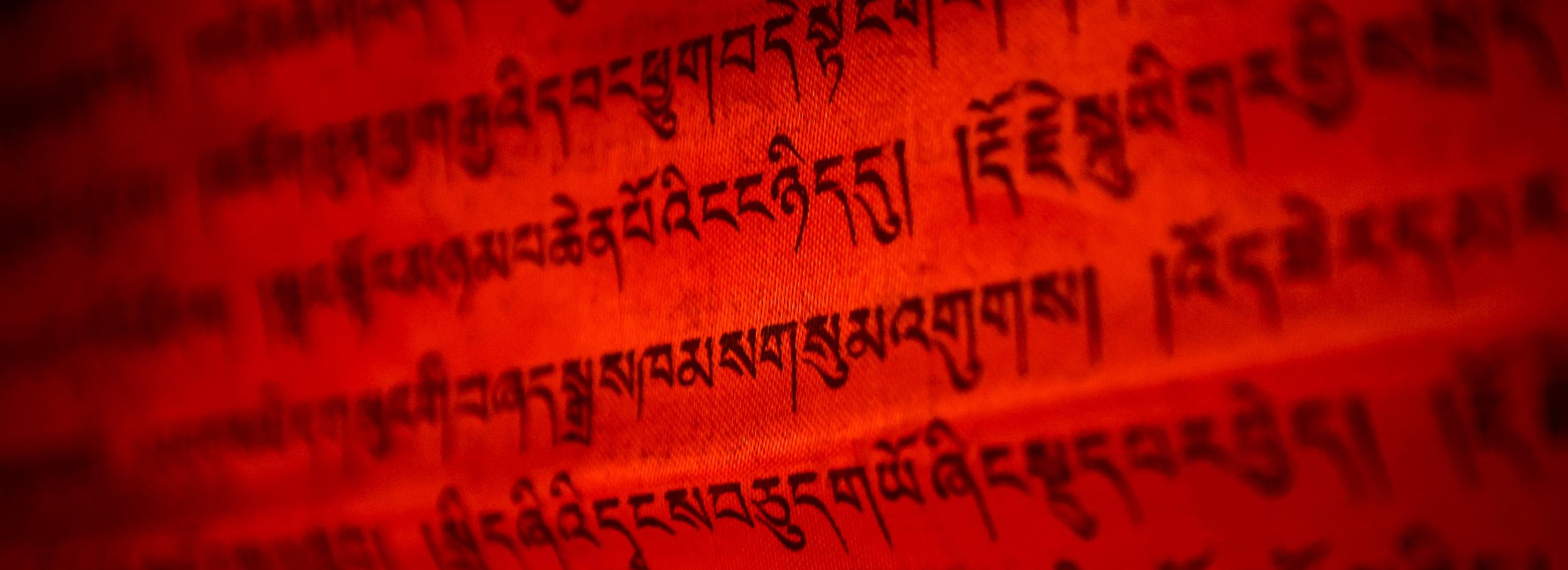 Приложение для оцифровки древних тибетских текстов создала студентка НГУ