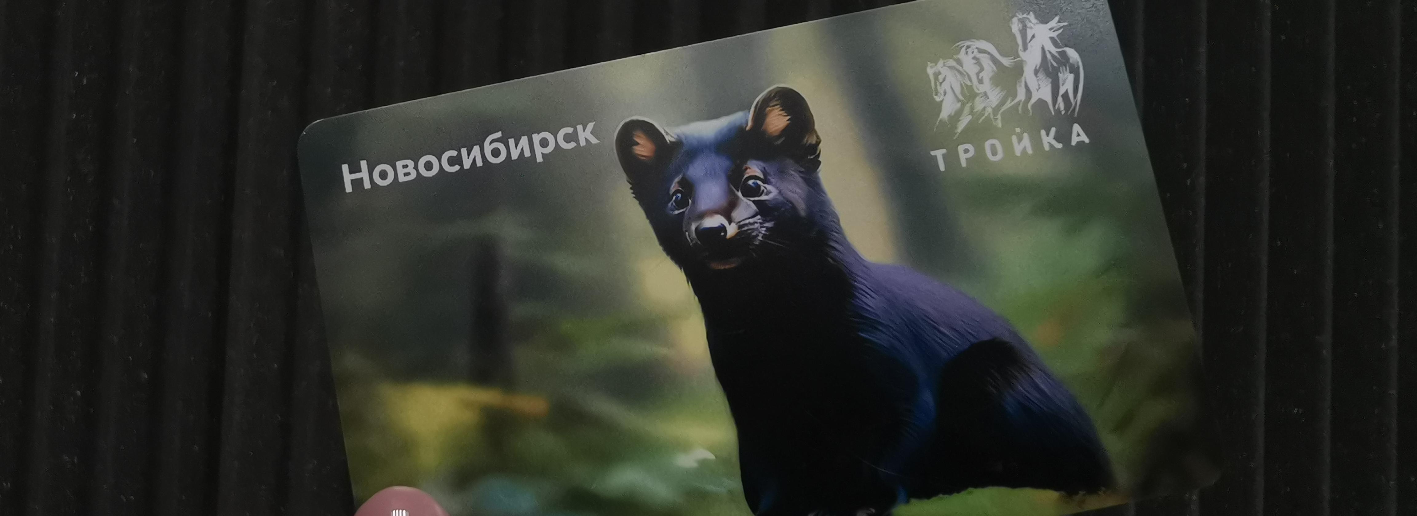 Новосибирцы жалуются на проблемы с пополнением карты «СберТройка»