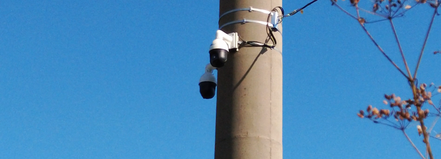 Стало чище: видеоловушка помогла в борьбе со стихийной свалкой у озера