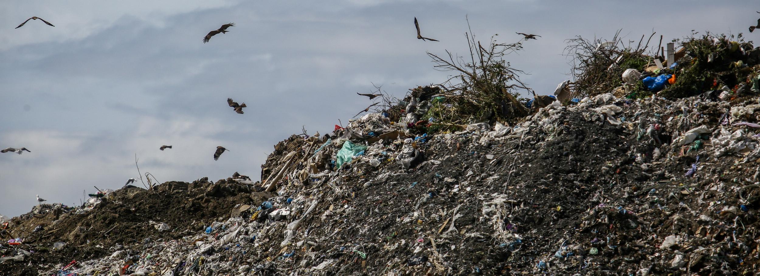 Рекультивацию свалки на окраине Пашино завершат в конце 2024 года