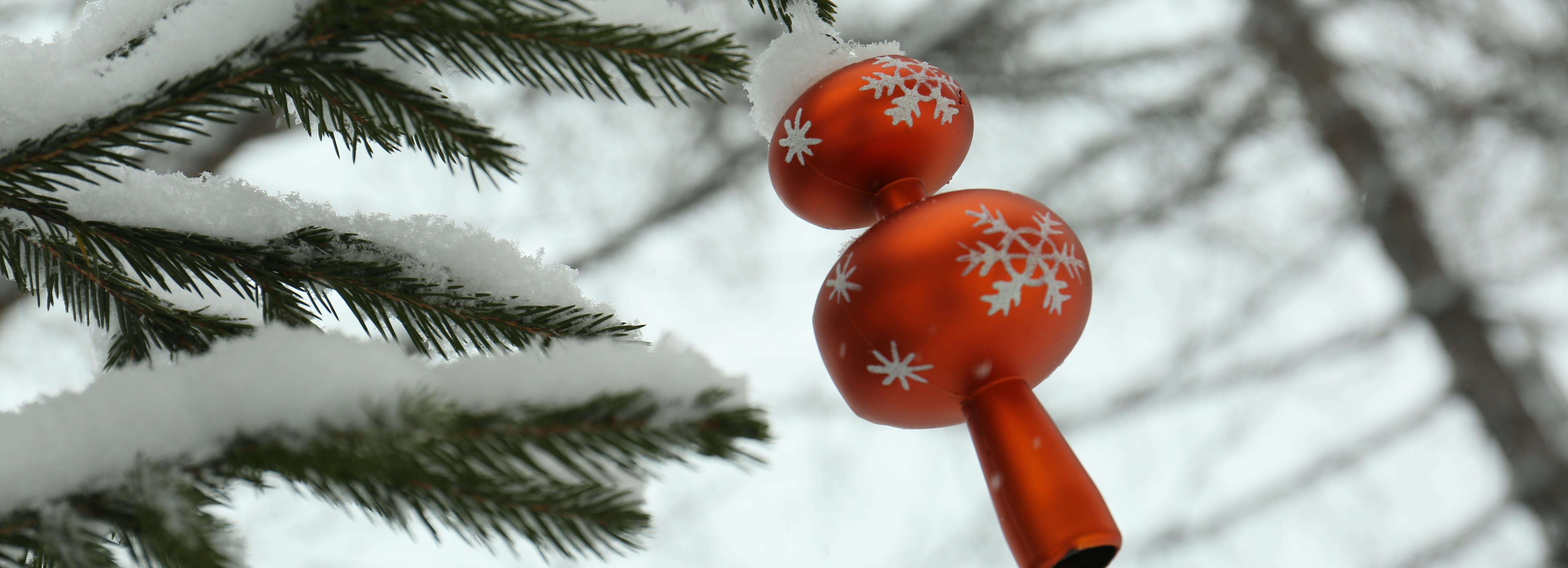 Новосибирцам предложили нарисовать ёлку 1945 года для 3D-открытки