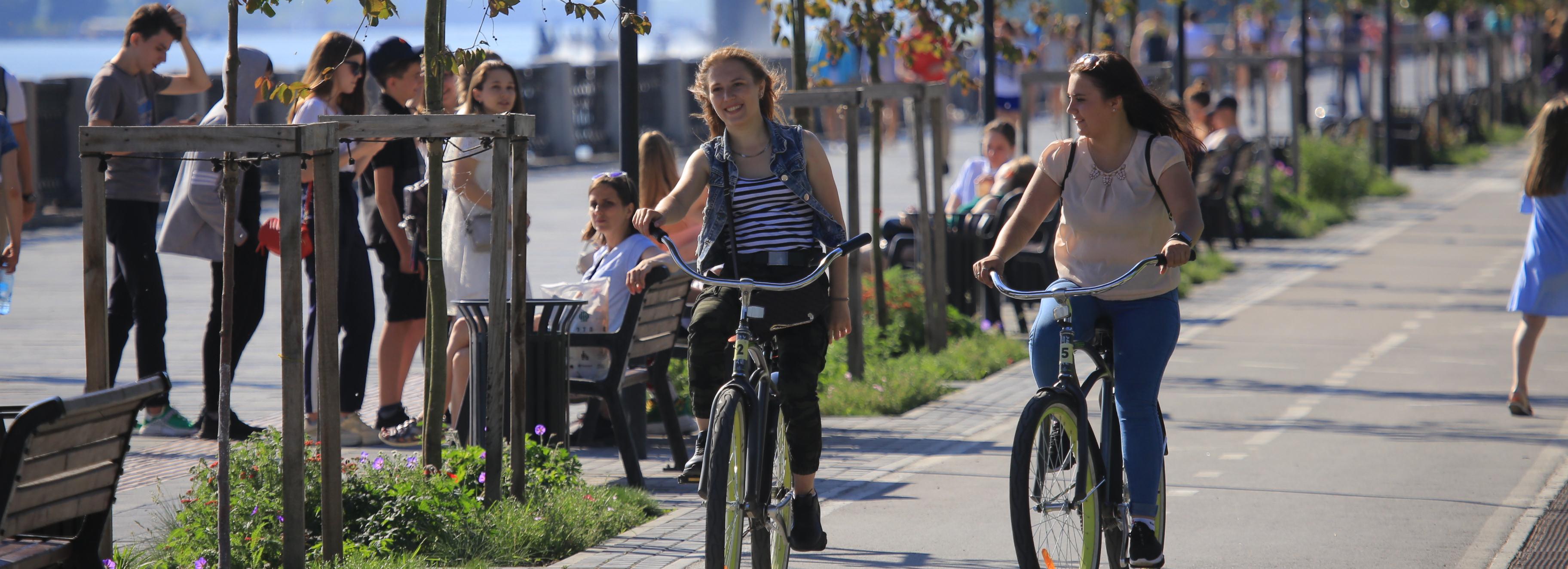 Солнечные дни вернутся в Новосибирск к концу недели