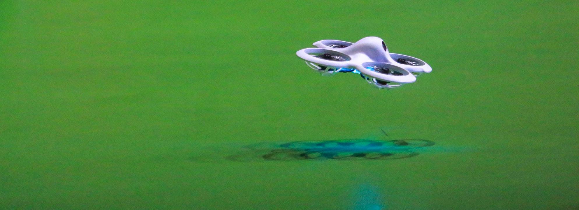 Пастух с Алтая украл дрон у новосибирской туристки для слежки за лошадьми