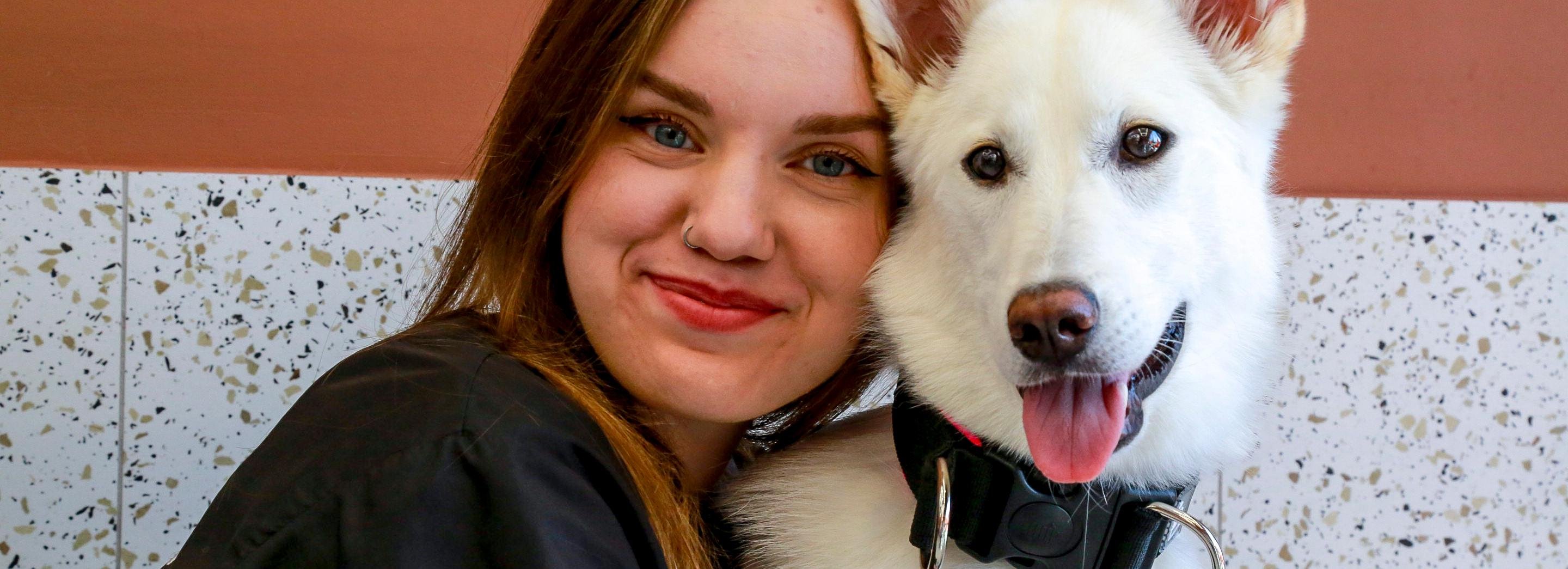 Шерстяная красота: стоит ли стричь собаку и в каких случаях