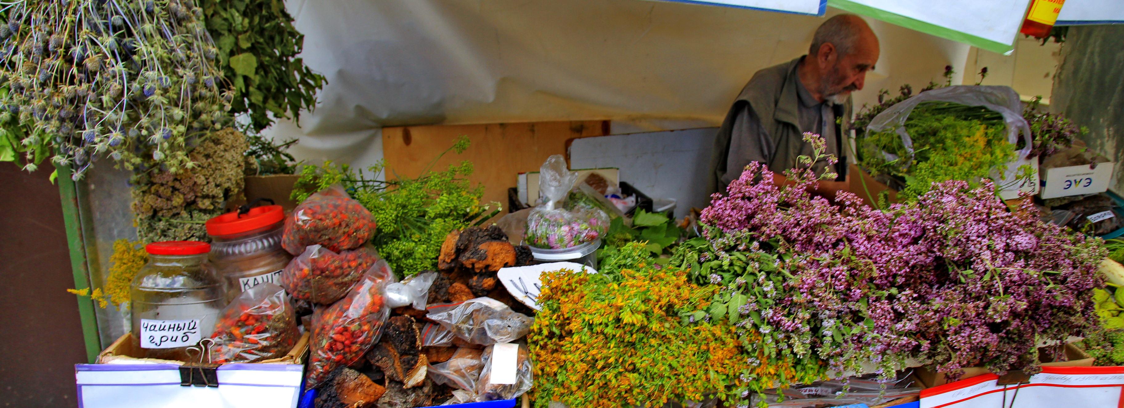 Новосибирские учёные доказали пользу иван-чая в борьбе со старением