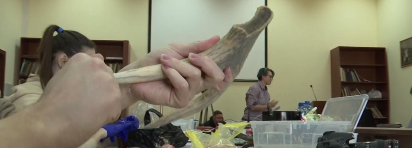 Быт сибиряков из каменного века реконструируют археологи в Новосибирске