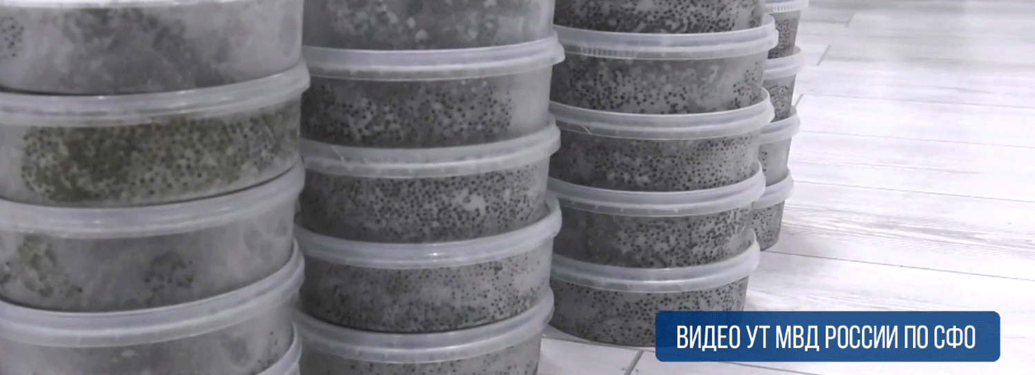 Дело о продаже икры краснокнижного осетра дошло до суда в Новосибирске