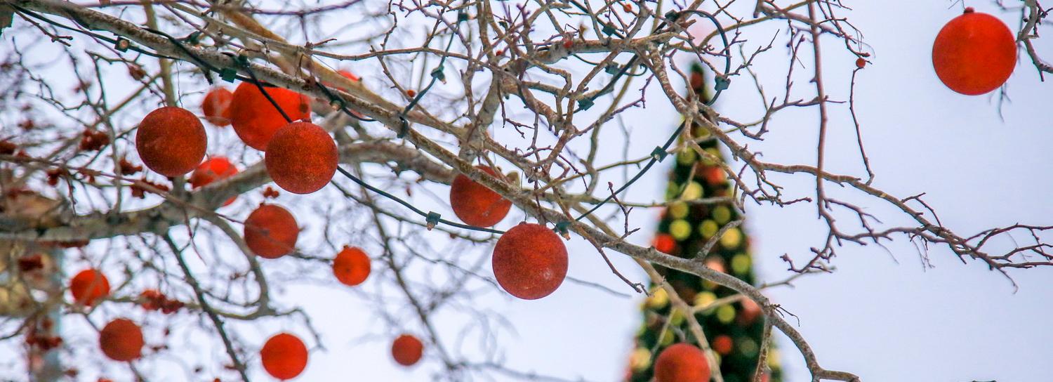 Самый большой в мире новогодний онлайн-квартирник пройдёт в Новосибирске