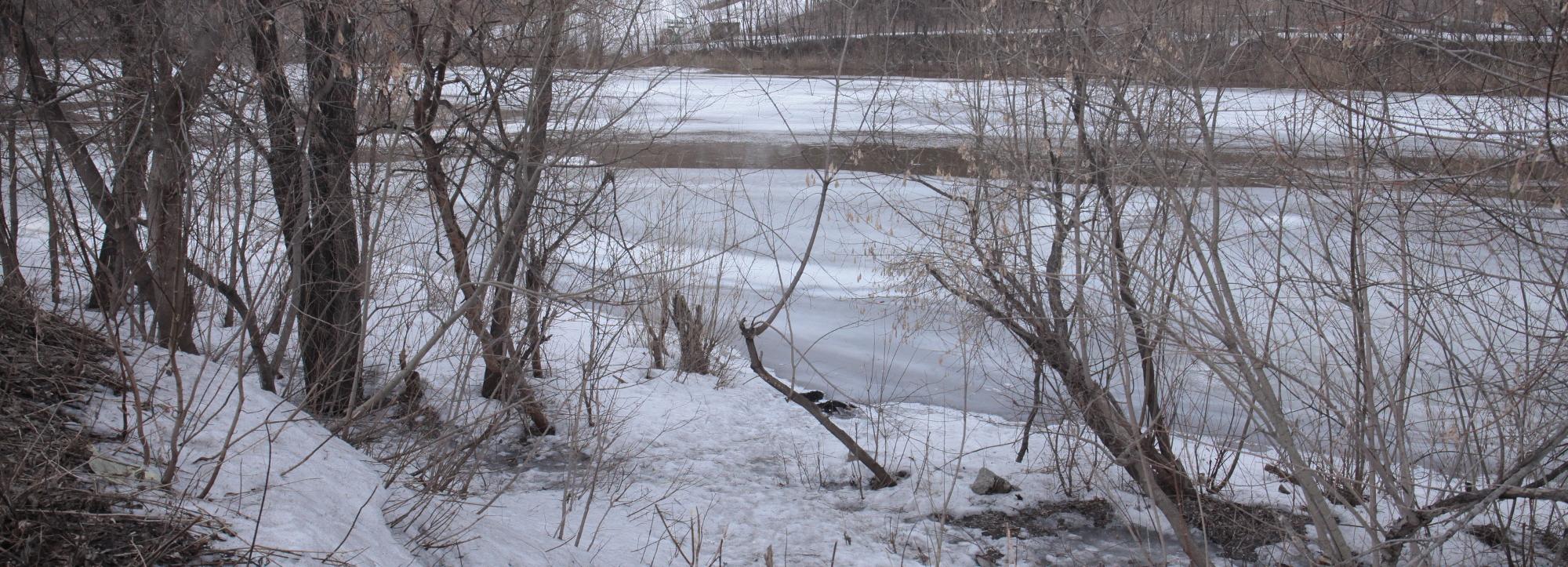 Голосование за имя новому парку: 8000 новосибирцев выбрали «Иню»