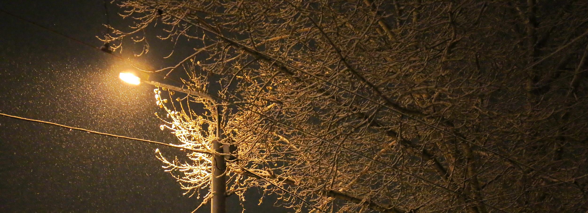 Синоптики рассказали, придут ли в Новосибирск крещенские морозы