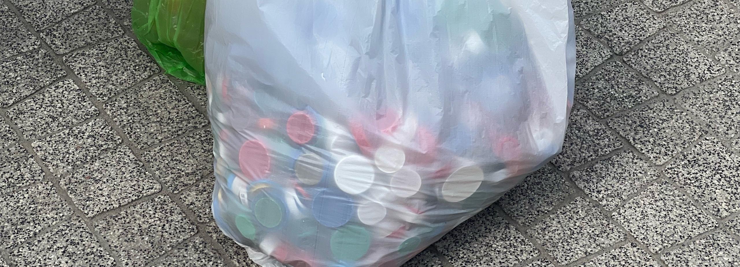 В новосибирском вузе придумали, как заставить моль есть пластик