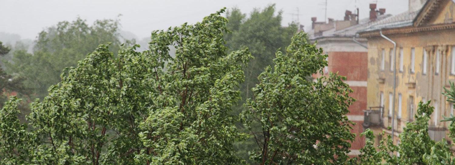 Резкое похолодание, град и грозы идут в Новосибирск
