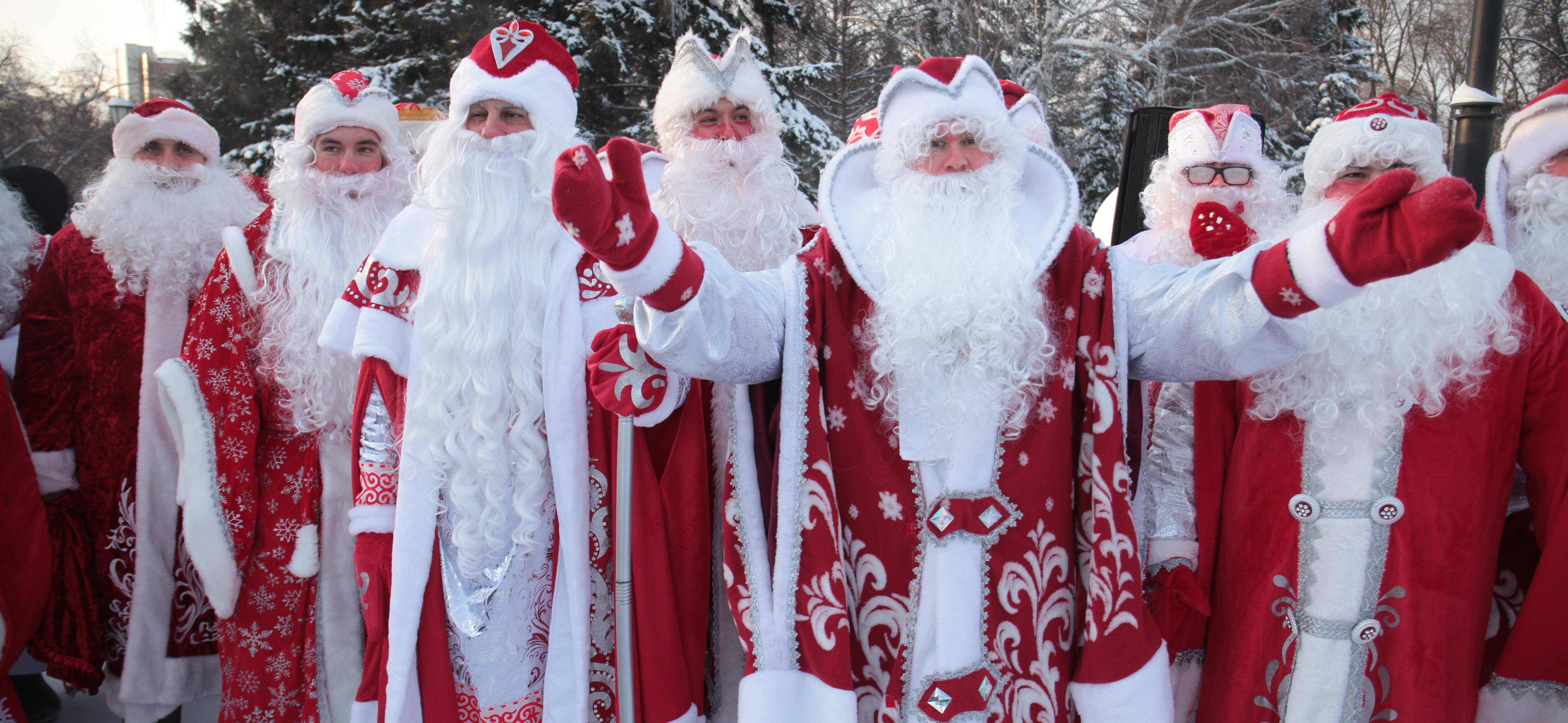 Хоббихорсинг и гринчеринку предлагают аниматоры новосибирцам на Новый год