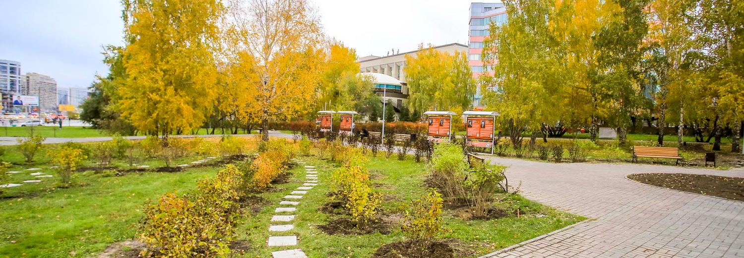 Под берёзовым каркасом: сквер «Весна» расцвёл у ГПНТБ