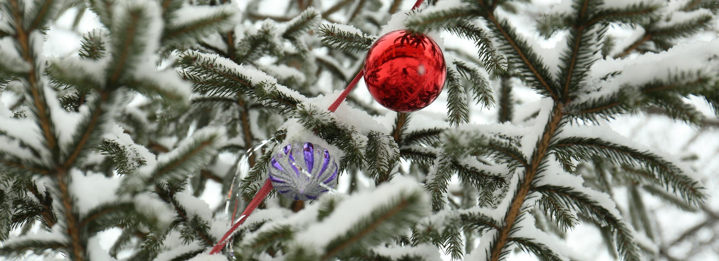 Новые арт-объекты появятся на новогодней улице Ленина к 20 декабря